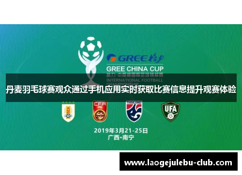丹麦羽毛球赛观众通过手机应用实时获取比赛信息提升观赛体验