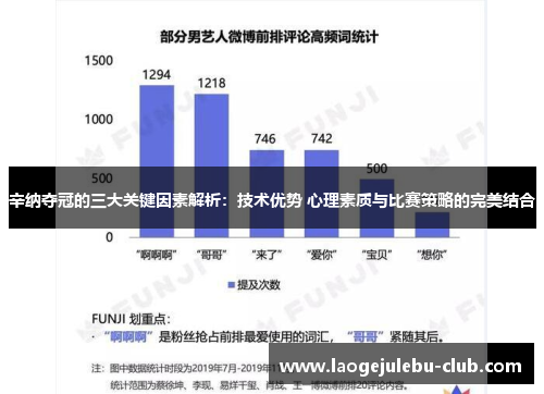 辛纳夺冠的三大关键因素解析：技术优势 心理素质与比赛策略的完美结合