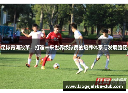 足球青训改革：打造未来世界级球员的培养体系与发展路径