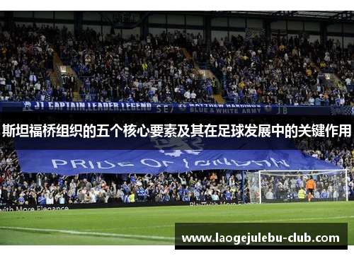 斯坦福桥组织的五个核心要素及其在足球发展中的关键作用
