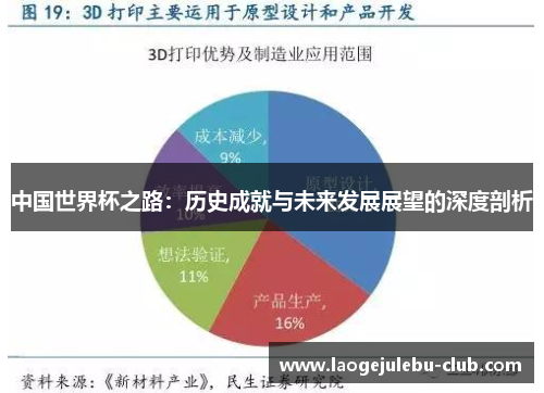 中国世界杯之路：历史成就与未来发展展望的深度剖析
