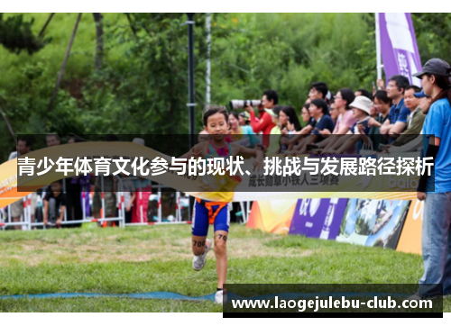 青少年体育文化参与的现状、挑战与发展路径探析
