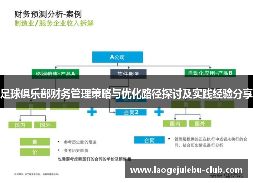 足球俱乐部财务管理策略与优化路径探讨及实践经验分享