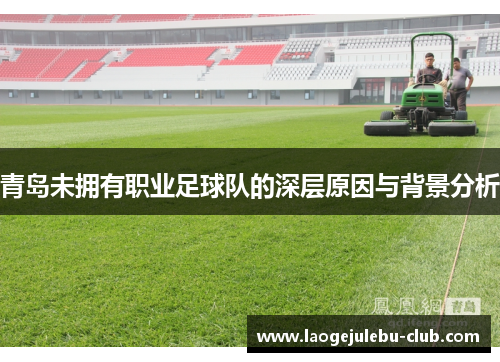 青岛未拥有职业足球队的深层原因与背景分析