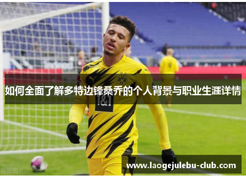 如何全面了解多特边锋桑乔的个人背景与职业生涯详情