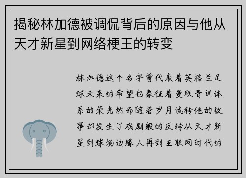 揭秘林加德被调侃背后的原因与他从天才新星到网络梗王的转变