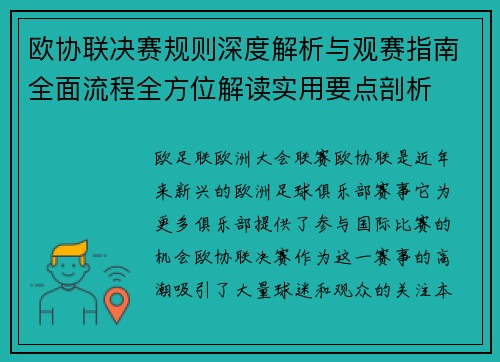 欧协联决赛规则深度解析与观赛指南全面流程全方位解读实用要点剖析