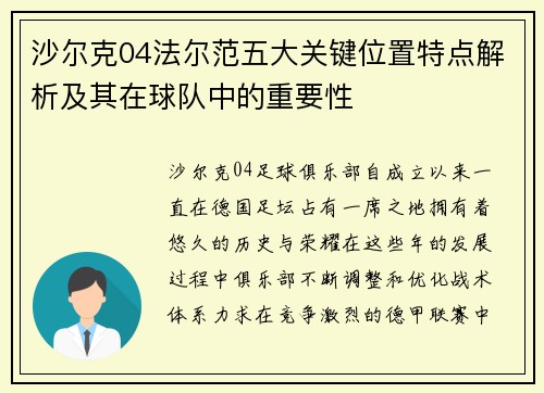 沙尔克04法尔范五大关键位置特点解析及其在球队中的重要性